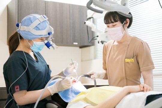 長期勤務をご希望の女性歯科医師の募集要項 就職 転職なら名古屋のつゆくさ歯科医院へ